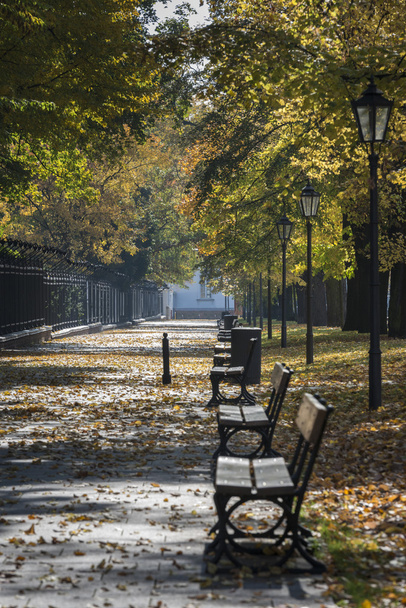 Paysage d'automne du parc Lazienki à Varsovie, Pologne
 - Photo, image