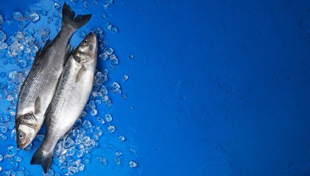 Seabass fish on ice on blue color background, top view - Foto, afbeelding