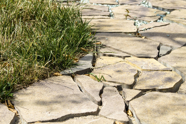 Camino de jardín pavimentado bajo piedra natural y hierba verde
 - Foto, Imagen