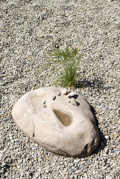 Pedra com uma dragagem cheia de água com uma planta aneurolepidium no fundo de pequenas pedras aluviais
 - Foto, Imagem