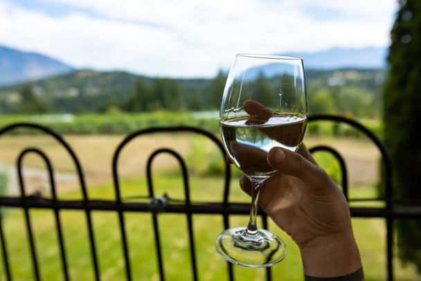 дегустация вин на открытом воздухе
 - Фото, изображение
