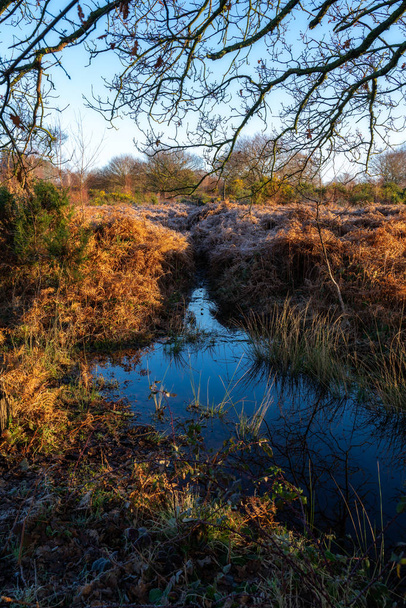 Frosty sunny day at Chailey Nature reserve in East Sussex - Photo, Image