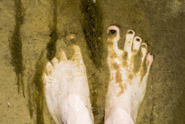 De poten van een meisje met een zwarte nagellak zijn zichtbaar door transparant water, ondergedompeld in een piek omringd door algen - Foto, afbeelding