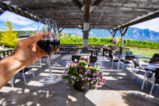 красный бокал вина на дегустации террасе патио
 - Фото, изображение