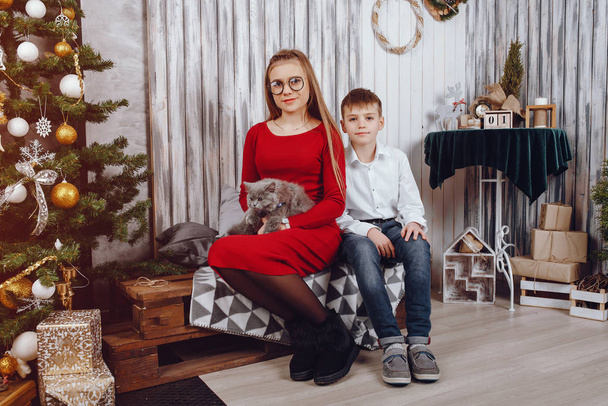 Children with cat - Foto, Bild