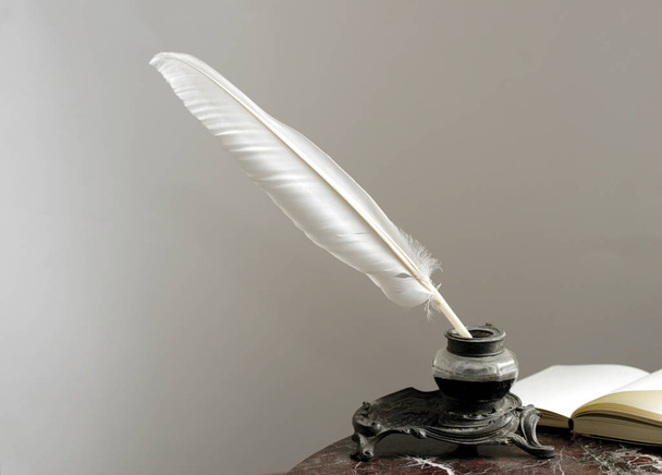 feather and inkwell on a white background - Zdjęcie, obraz