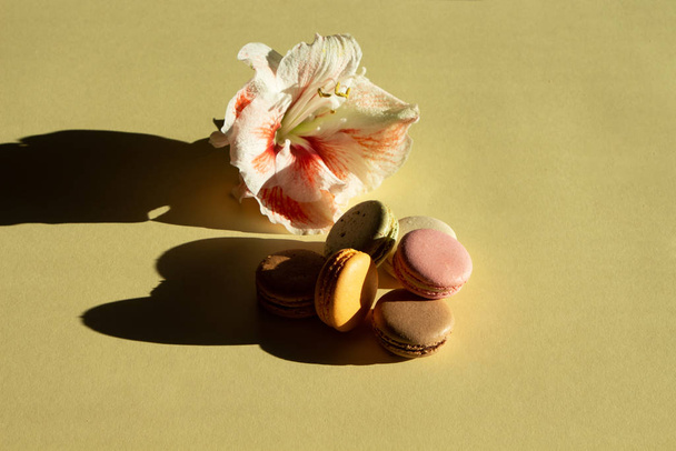 Hedendaagse compositie pastel macarons en Amaryllis op lichtgele ondergrond met donkere schaduw. - Foto, afbeelding