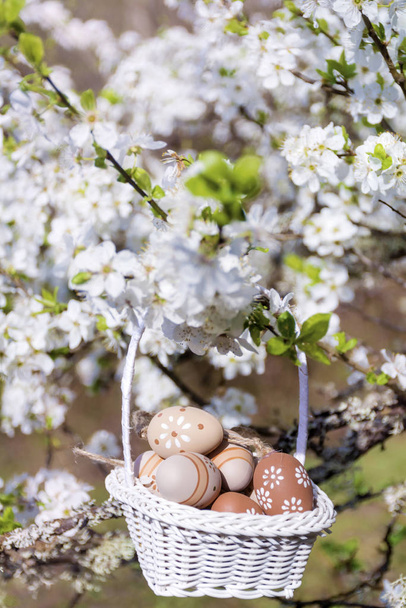 white basket with Easter painted eggs hanging on branch of flowering tree on garden background - Foto, Imagen