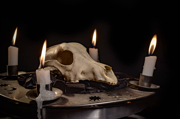 Metaphorical still life of occult symbols - Foto, imagen