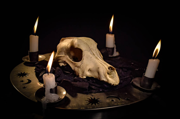 Metaforisch stilleven van occulte symbolen - Foto, afbeelding