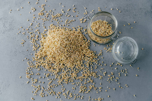 Vista dall'alto del grano saraceno germogliato in vaso di vetro e su fondo grigio. Cibo vegano. Concetto nutrizionale sano. Piatto alimentare utile
 - Foto, immagini