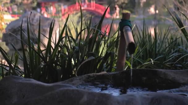 Jib up shot z fontanną Bamboo obok stawu w Buenos Aires Ogrody japońskie - Materiał filmowy, wideo