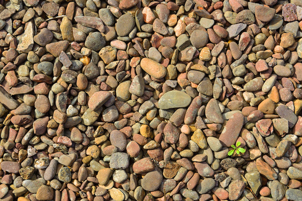 Abstract of Pebbles Background - 写真・画像