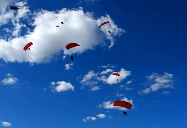 parachute summer sport, parachute  - Zdjęcie, obraz