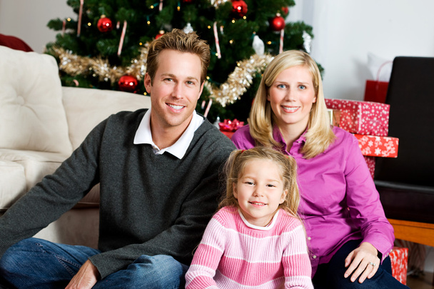 Christmas: Family Holiday Portrait - Foto, afbeelding