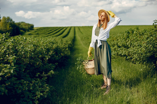 Elegant and stylish girl in a summer field - Foto, imagen