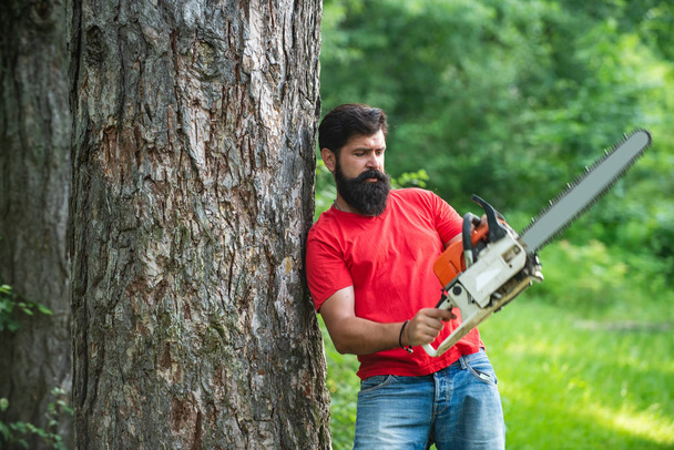 A handsome young man with a beard carries a tree. Lumberjack worker walking in the forest with chainsaw. Lumberjack worker standing in the forest with chainsaw. - Foto, immagini