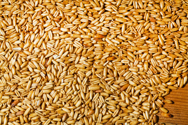 Grains of oats - Foto, afbeelding