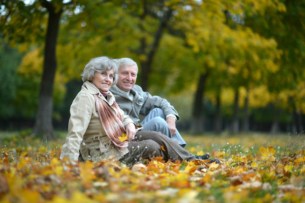 beautiful elderly couple - Fotó, kép