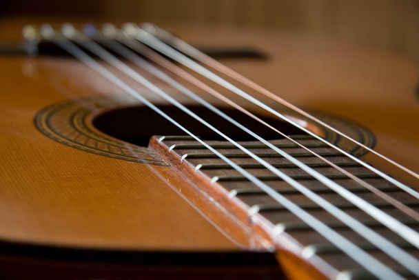 guitar, string musical instrument - 写真・画像