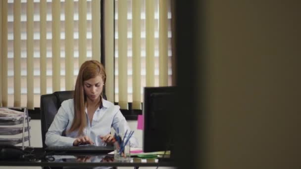 portrét ženy pracující v kanceláři - Záběry, video