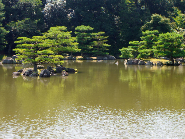 Japanese garden, nature flora - Fotó, kép