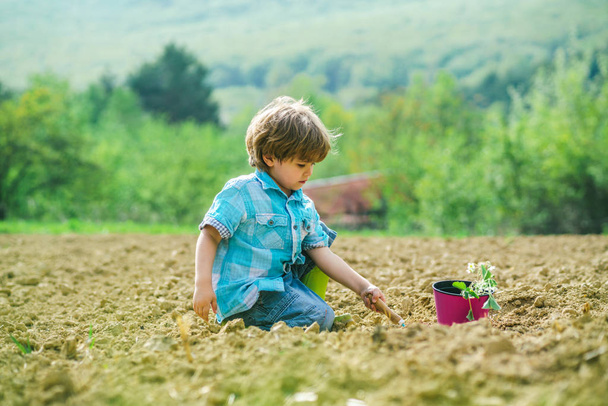 Gardening activity with little kid. Child care plants. CHild gardening in the backyard garden. Happy little farmer having fun on field. - Foto, imagen