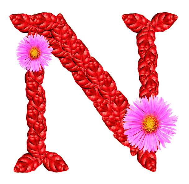 Letter n Free Stock Photos, Images, and Pictures of Letter n