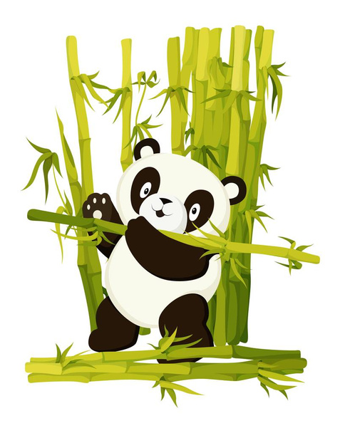 Aranyos panda medve gyűjtése bambusz szárak lapos vektor elszigetelt illusztráció - Vektor, kép