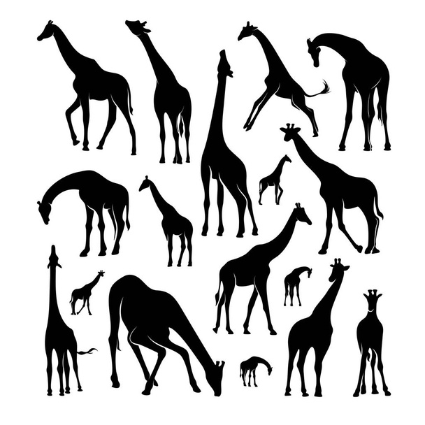 Zürafa Logo Vektörü seti. Hayvan Zürafa Logosu Şablon Çizimi - Vektör, Görsel