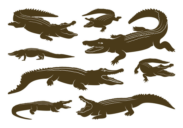 Zestaw Crocodile Logo Vector. Ilustracja emblematu aligatora - Wektor, obraz