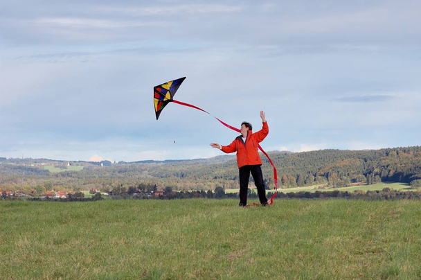 young woman with kite in the field - Zdjęcie, obraz