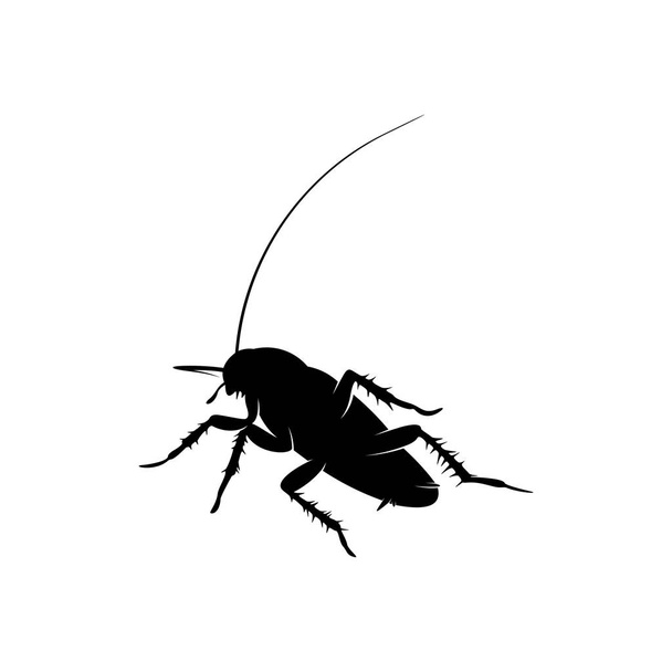 Šváb Logo Design vektorové ilustrace. Šablona pro návrh švába - Vektor, obrázek