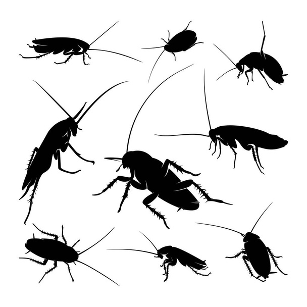 Набор векторной иллюстрации логотипа таракана. Шаблон дизайна тараканов
 - Вектор,изображение