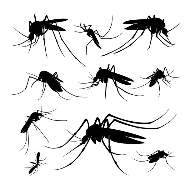 Set van Mosquito Logo Design Vector Illustratie. Model voor muggenontwerp - Vector, afbeelding