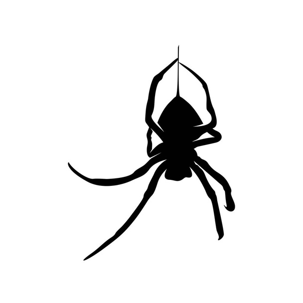 Spiders Vector Design logó. Pókok illusztráció különböző formák és különböző mozgások - Vektor, kép