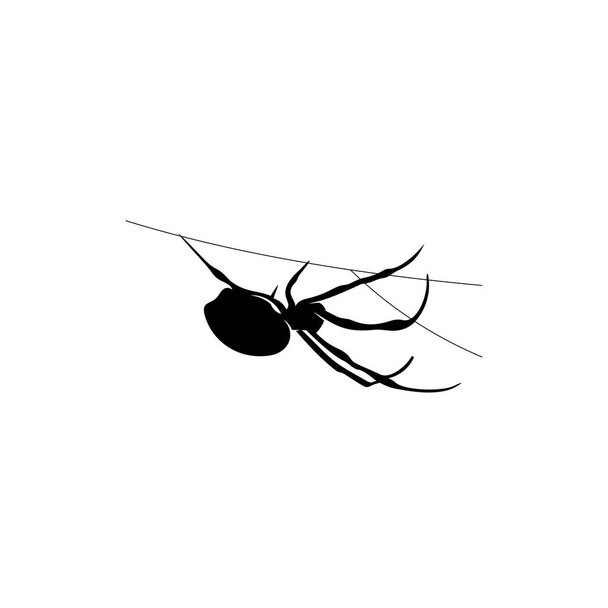 Logo de conception vectorielle d'araignées. Illustration d'araignées avec différentes formes et différents mouvements
 - Vecteur, image