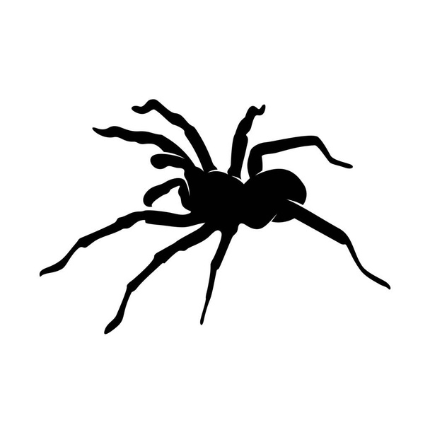 Spiders Vector Ontwerp Logo. Spinnen Illustratie met verschillende vormen en verschillende bewegingen - Vector, afbeelding