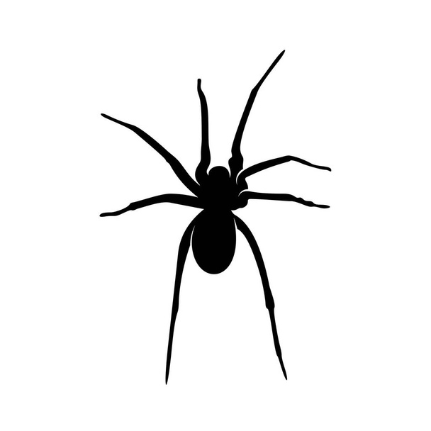Hämähäkkivektorin suunnittelulogo. Hämähäkit kuvitus eri muotoja ja erilaisia liikkeitä
 - Vektori, kuva