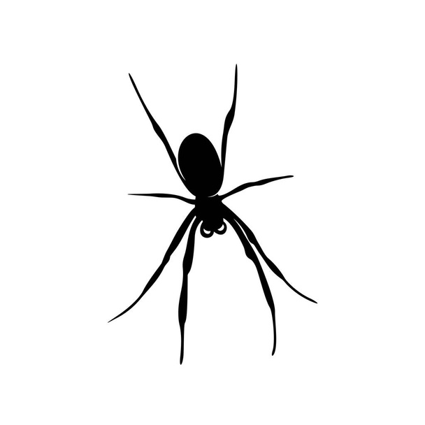 Spiders Vector Design logó. Pókok illusztráció különböző formák és különböző mozgások - Vektor, kép