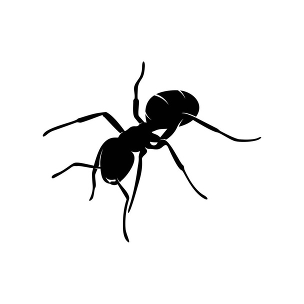 Logo Ant Vector Design. Ant Ilustrace s různými tvary a různými pohyby - Vektor, obrázek