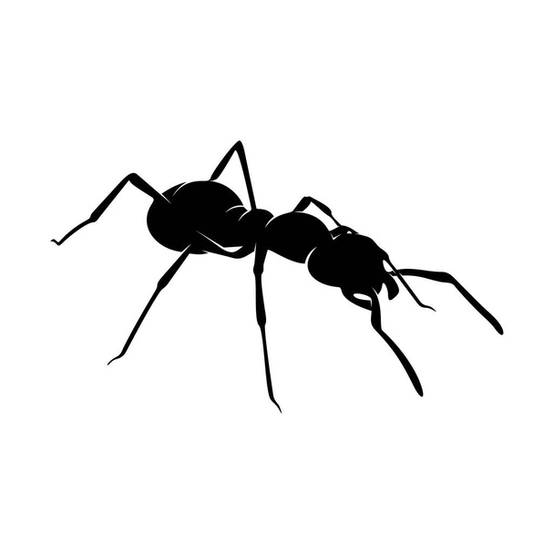 Antベクトル設計ロゴ。様々な形と動きを持つアリのイラスト - ベクター画像