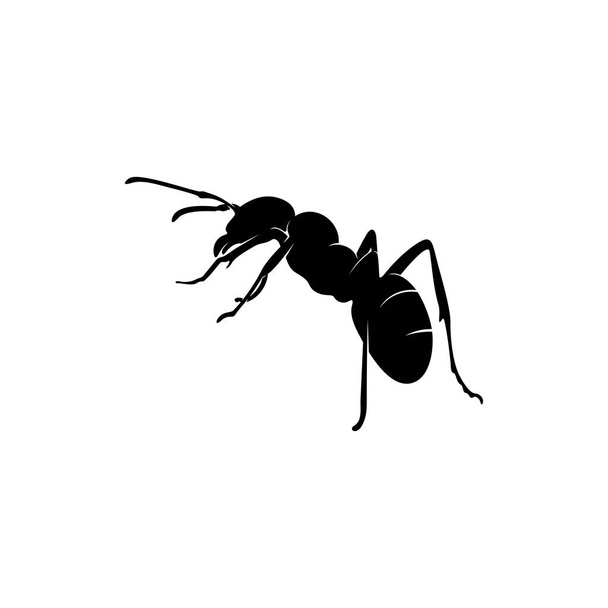Ant Vector Design Logo. Ant Illustration With Various Shapes and Different movements - Vector, Image