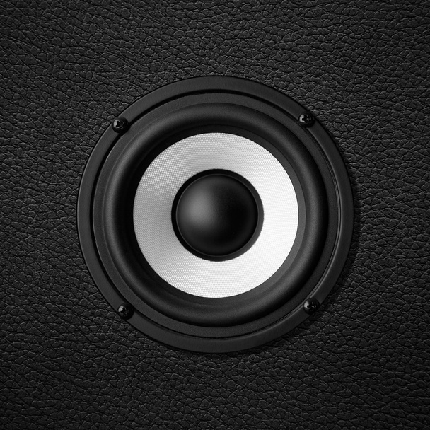 Black & white speaker, leather speakers - Φωτογραφία, εικόνα