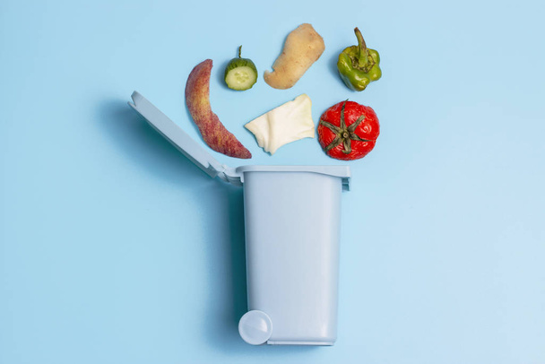 Organic waste and trash can on blue background, concept of garbage sorting - Fotó, kép