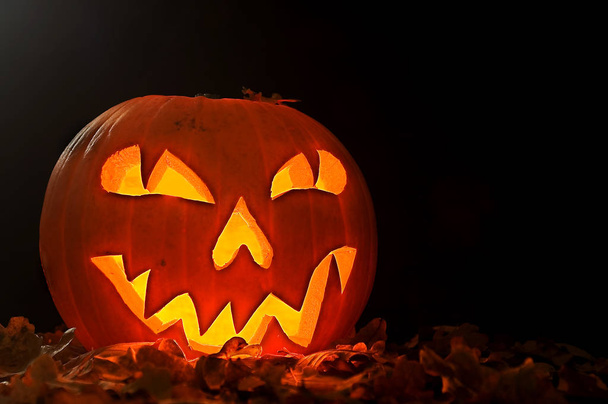 halloween pumpkin on black background - Foto, Bild