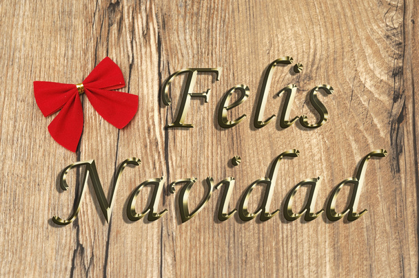 Felis Navidad - Photo, image