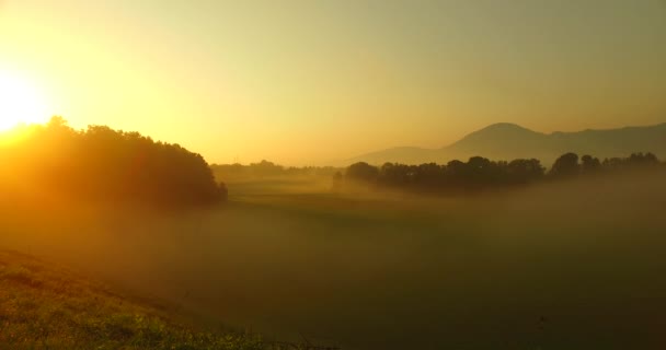 Observing bold colors of nature, fog, mist, bold sunset rays, meadows and pastures. Wild nature. - Materiaali, video