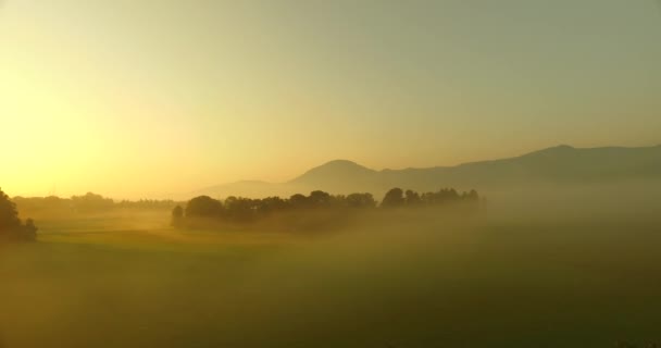 Observing bold colors of nature, fog, mist, bold sunset rays, meadows and pastures. Wild nature. - Materiaali, video