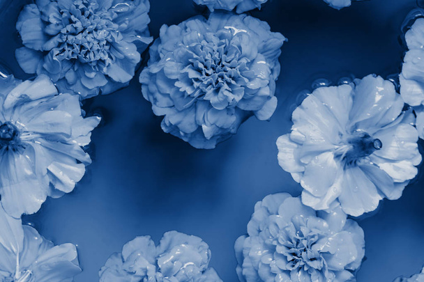 Classic blue flowers on blue water background. Flat lay. Pantone 2020 - Photo, Image